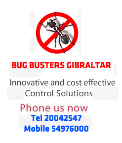 Gibraltar Bug Busters Pest Control Control services